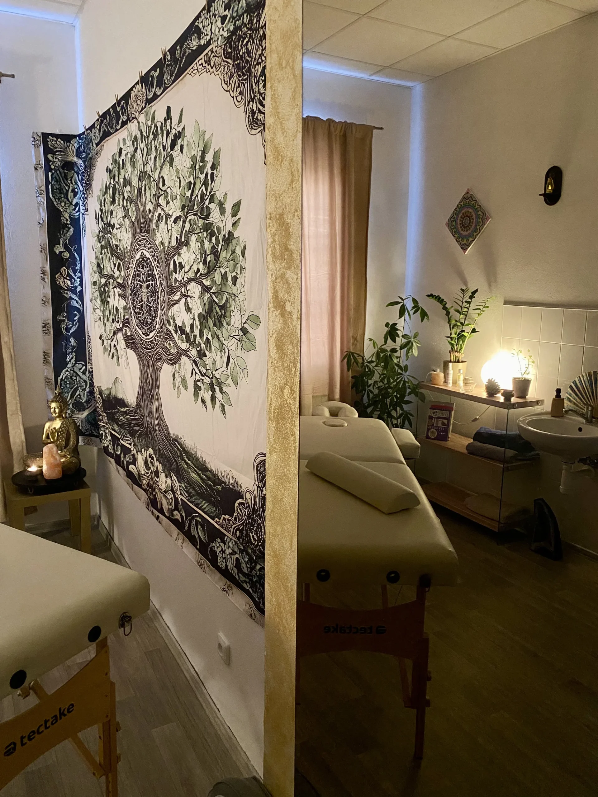 Masáže dle výběru: regenerační, antistresová i celostní - Obrázek 7