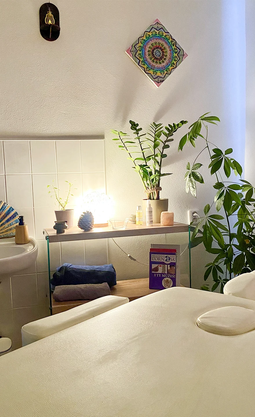 Masáže dle výběru: regenerační, antistresová i celostní - Obrázek 4