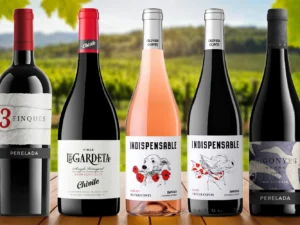 Výběr španělských červených i růžových vín