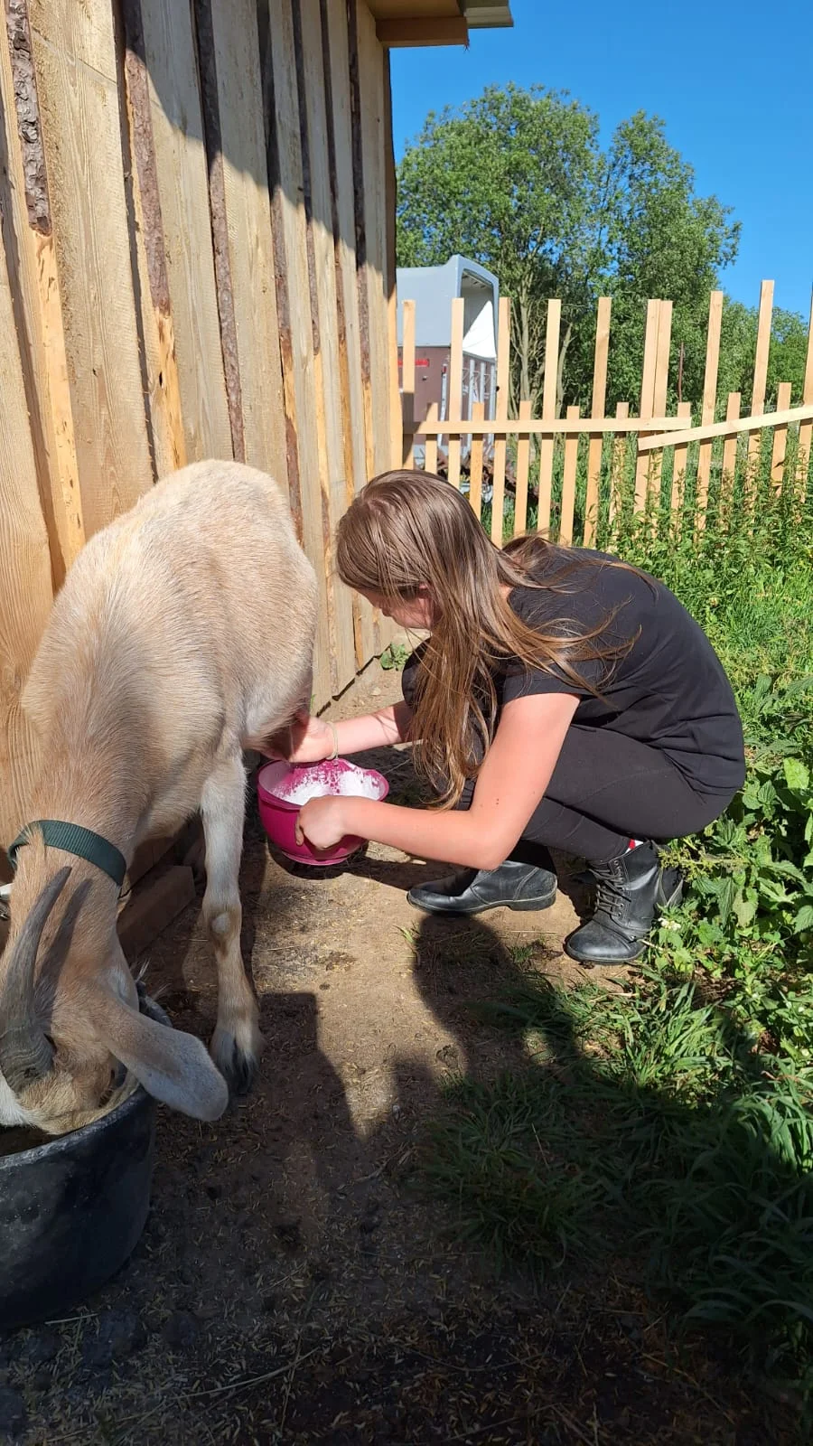 2 hodiny farmářem: péče o koně a další zvířátka - Obrázek 4