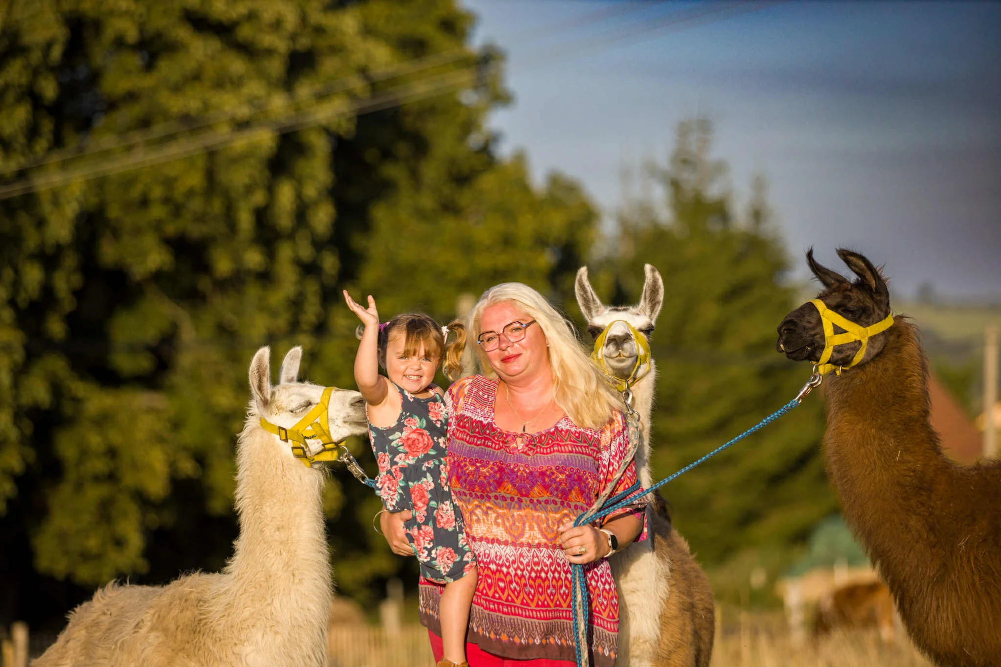 Lamatreking včetně krmení a prohlídky farmy - Obrázek 9