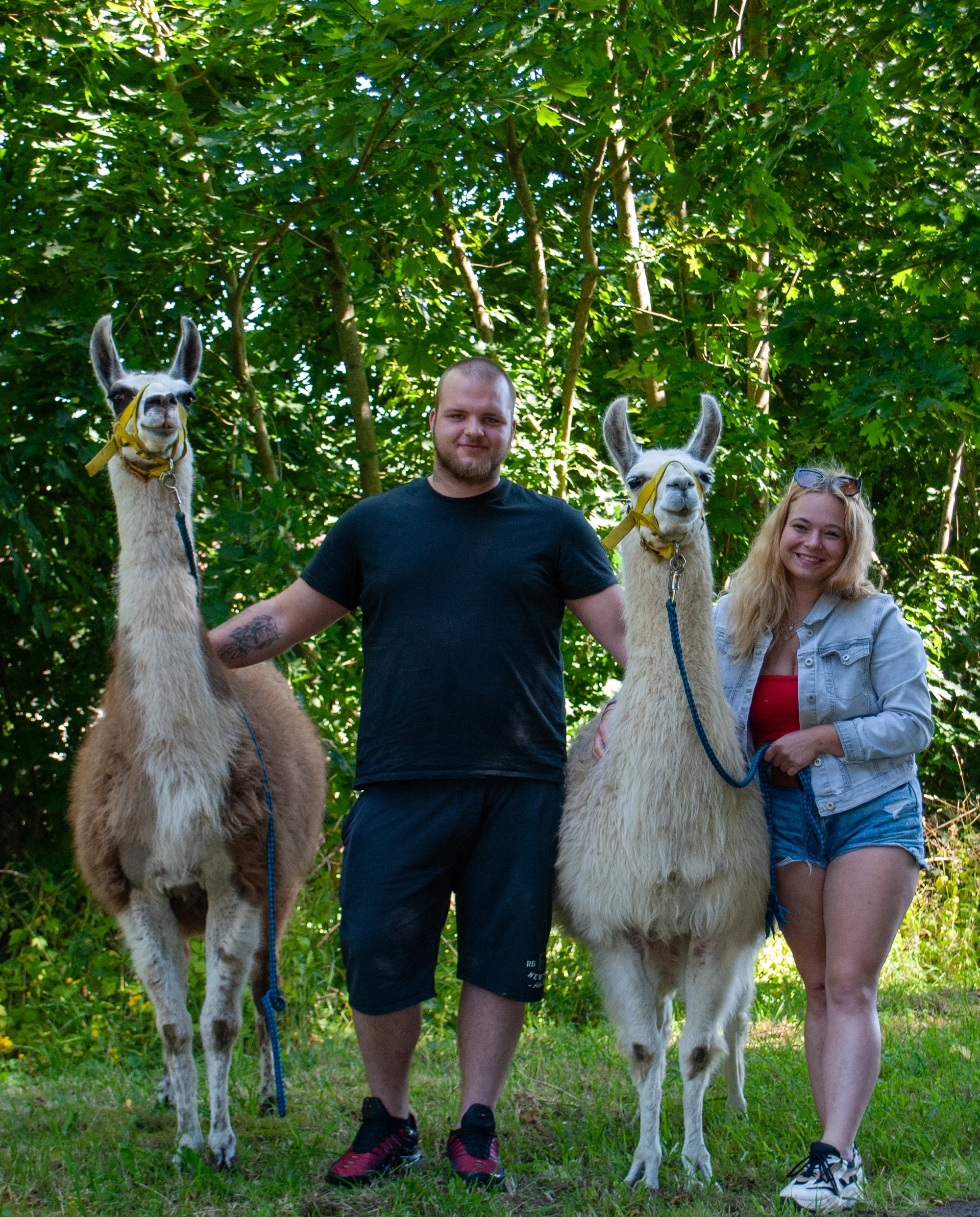 Lamatreking včetně krmení a prohlídky farmy - Obrázek 4
