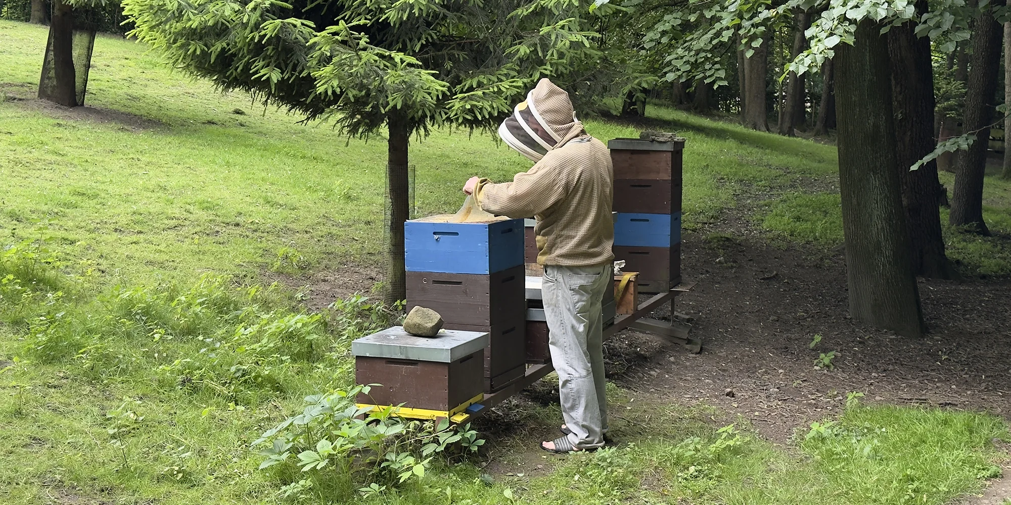 Včelařem na zkoušku: 60 minut i s ochutnávkou medu - Obrázek 3
