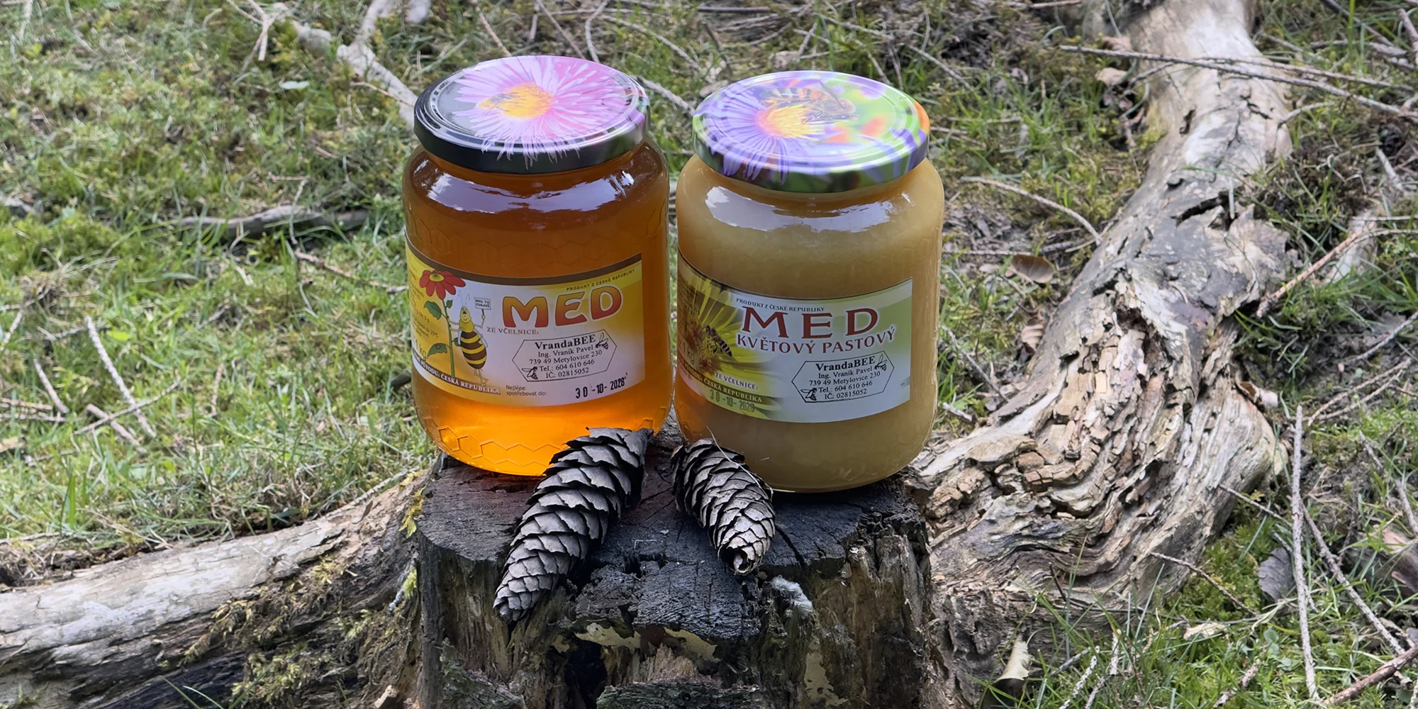 Včelařem na zkoušku: 60 minut i s ochutnávkou medu - Obrázek 5