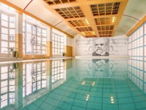 Karlovy Vary: Hotel Dvořák Spa & Wellness **** se snídaní či polopenzí a vstupem do wellness centra s bazénem