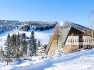 Krkonoše u ski areálů: Pytloun Hotel Harrachov **** s polopenzí + neomezený vstup do wellness (bazén, sauna)