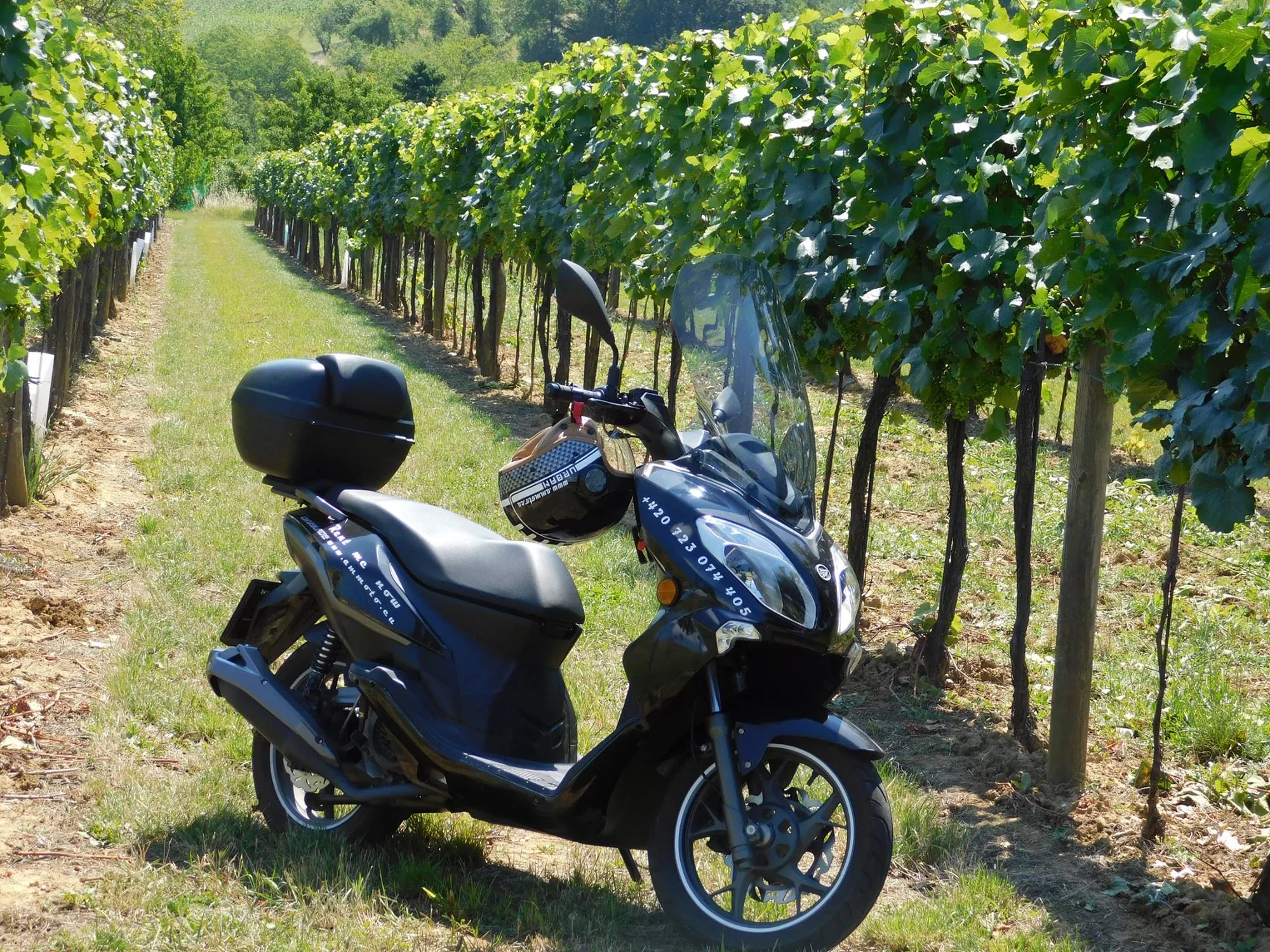 Romantická projížďka jižní Moravou: pronájem skútru - Obrázek 9