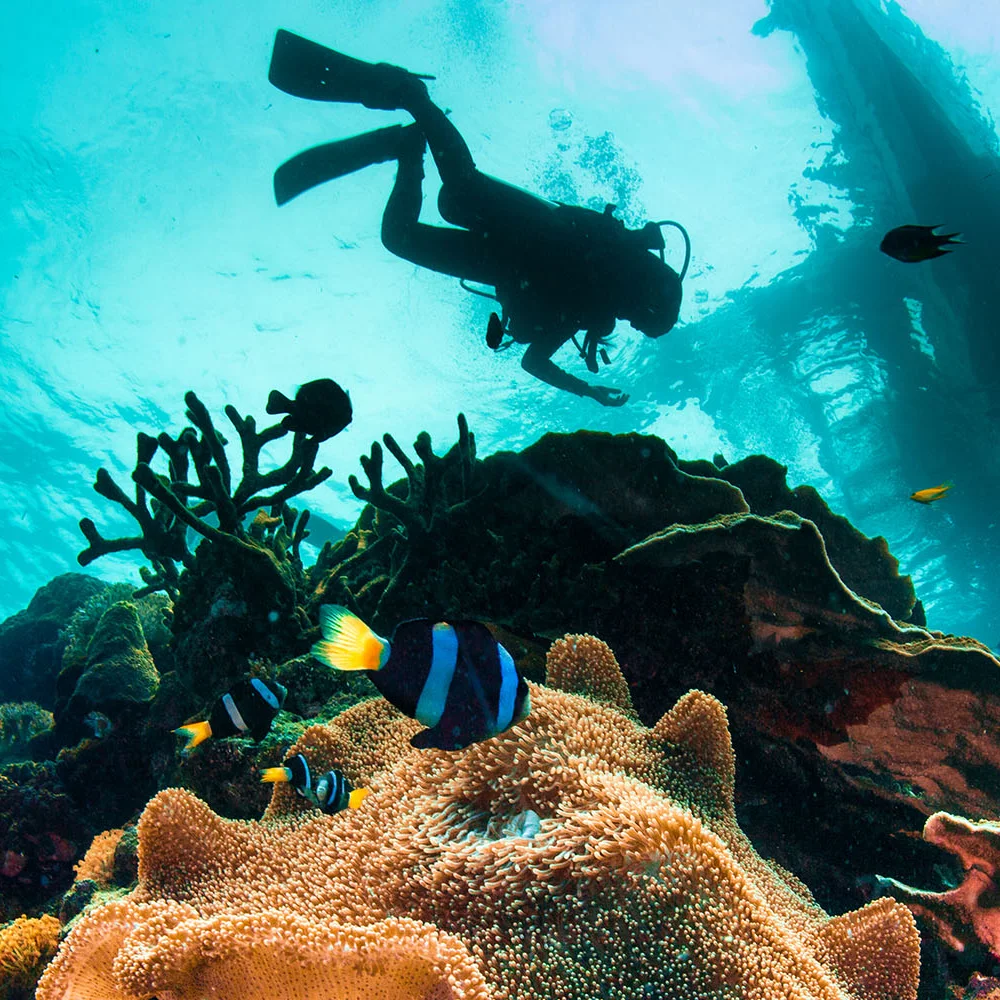 Kompletní kurz potápění vč. zapůjčení výstroje - Obrázek 2