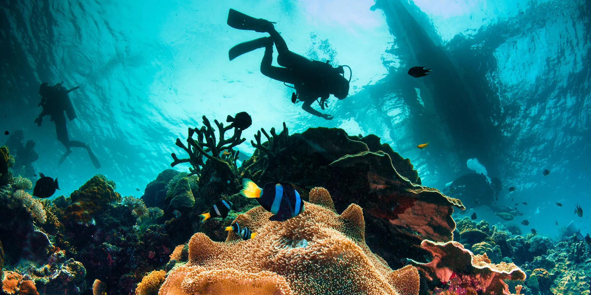 Kompletní kurz potápění vč. zapůjčení výstroje