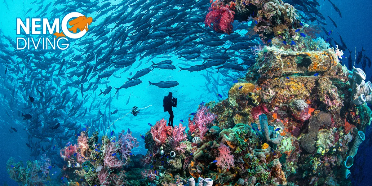 Kompletní kurz potápění vč. zapůjčení výstroje - Obrázek 6