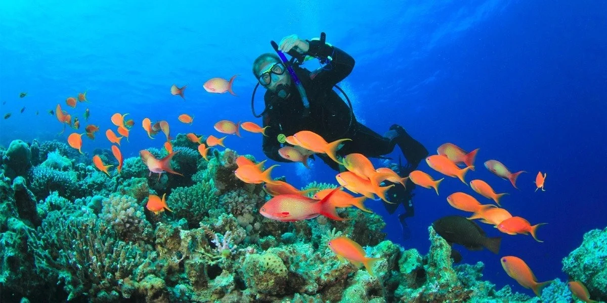Kompletní kurz potápění vč. zapůjčení výstroje - Obrázek 7