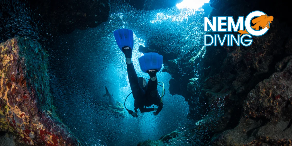 Kompletní kurz potápění vč. zapůjčení výstroje - Obrázek 9