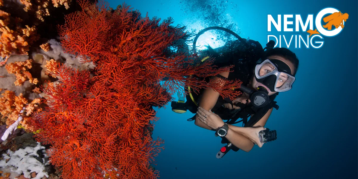 Kompletní kurz potápění vč. zapůjčení výstroje - Obrázek 10