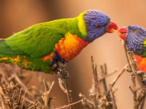 Fotografický prémium kurz v zoo: začátečníci i pokročilí