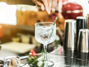 Gin&Tonic: řízená degustace s odborným výkladem