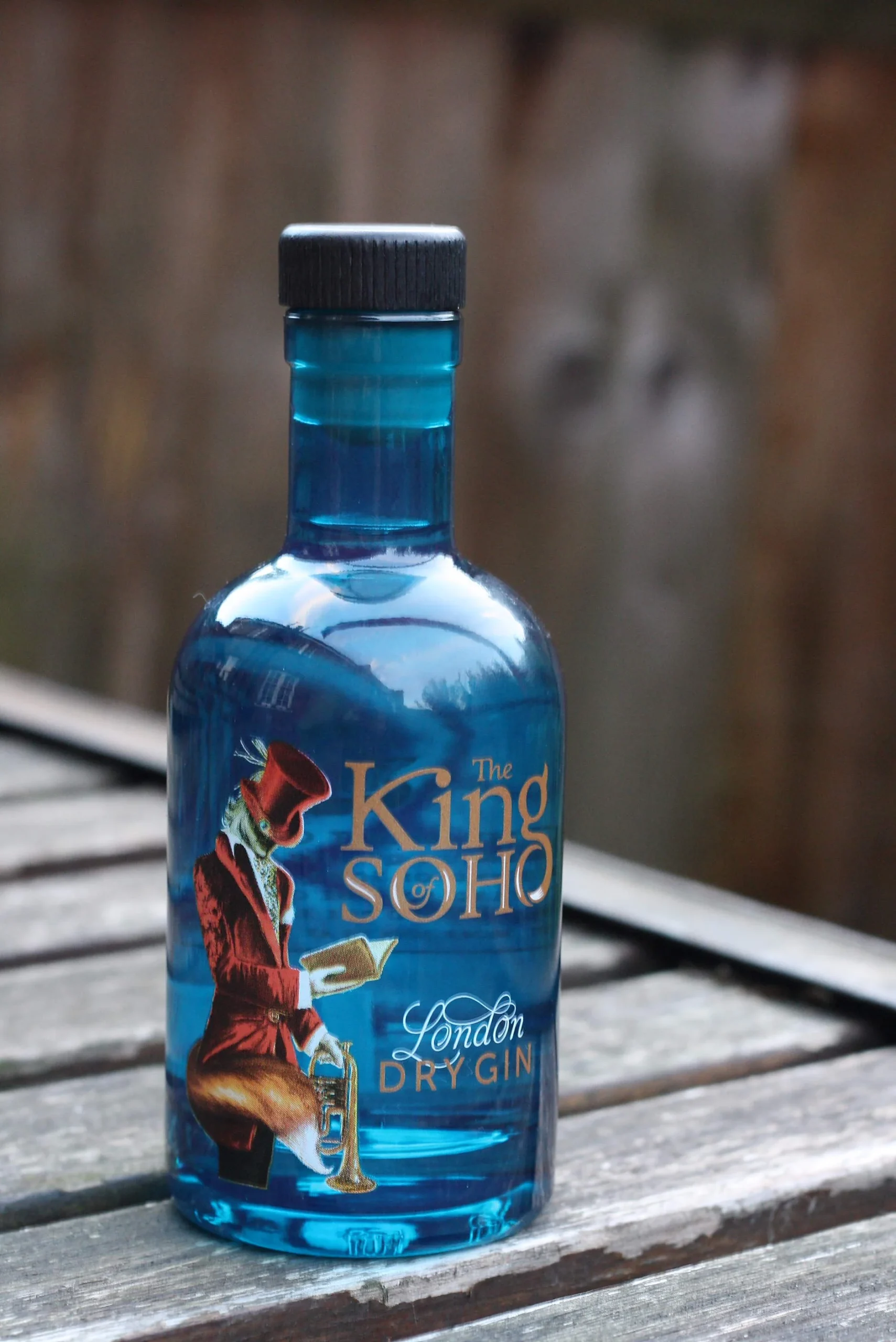 Gin&Tonic: řízená degustace s odborným výkladem - Obrázek 11