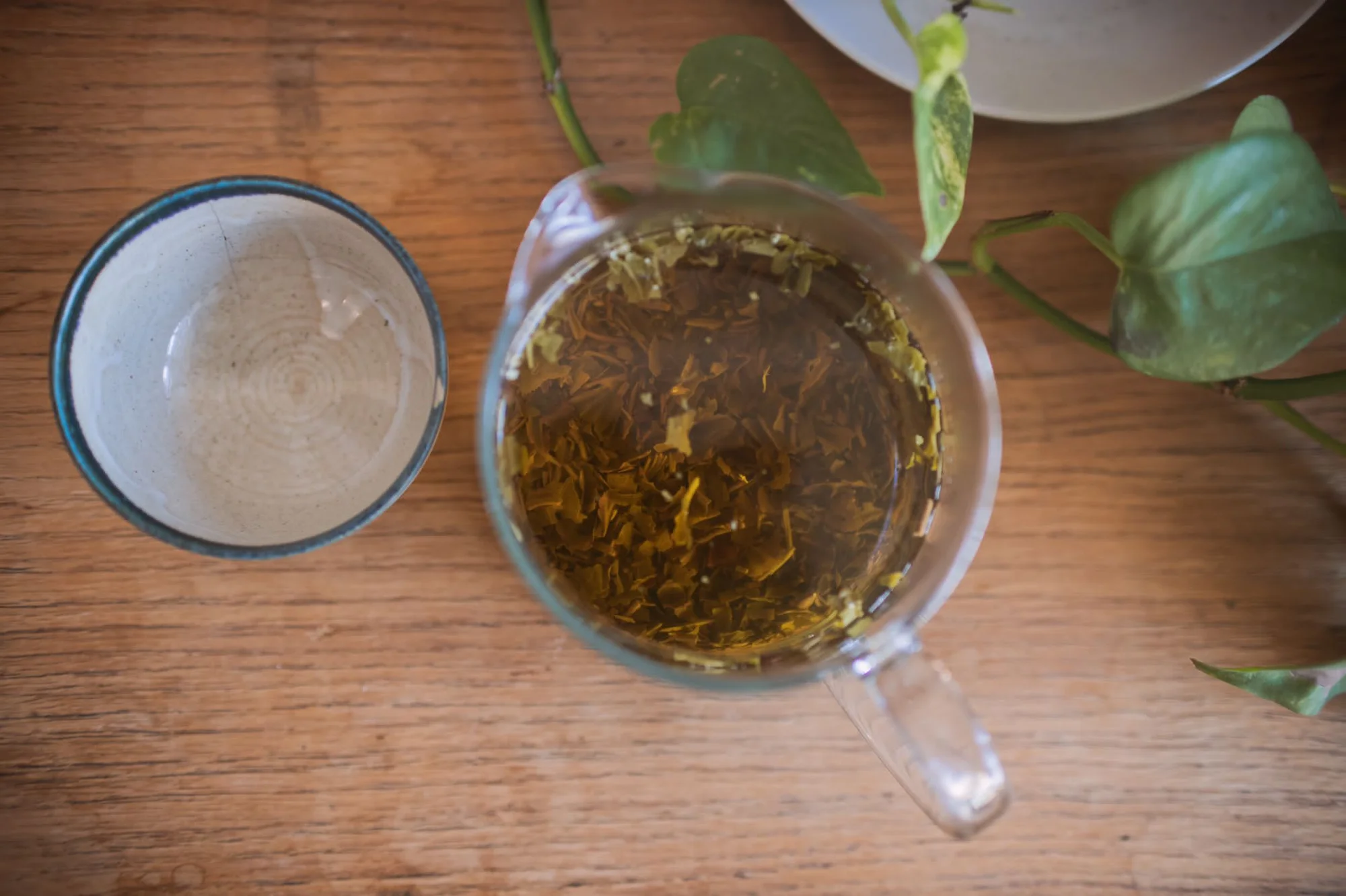 Degustace čajů: min. 10 druhů, výklad i občerstvení - Obrázek 9