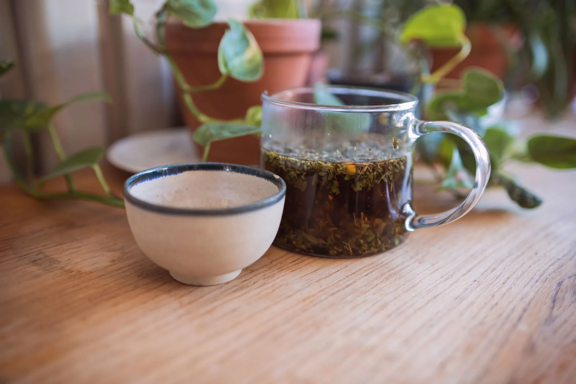 Degustace čajů: min. 10 druhů, výklad i občerstvení - Obrázek 10