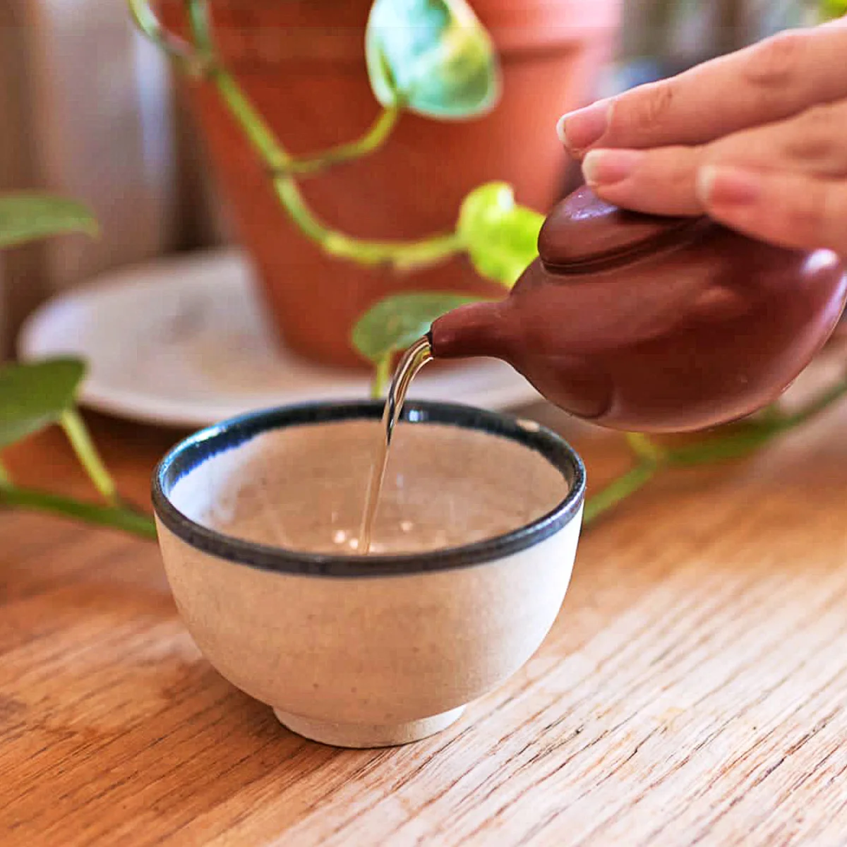 Degustace čajů: min. 10 druhů, výklad i občerstvení - Obrázek 2