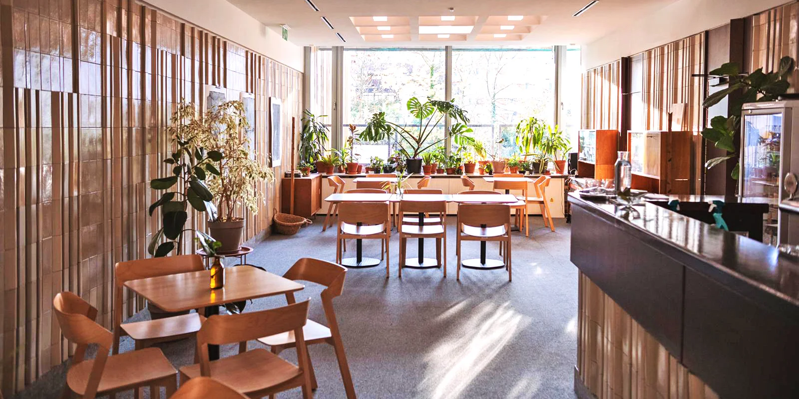 Degustace čajů: min. 10 druhů, výklad i občerstvení - Obrázek 5