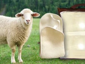 Ledvinový pás z ovčí vlny proti bolestem i nachlazení