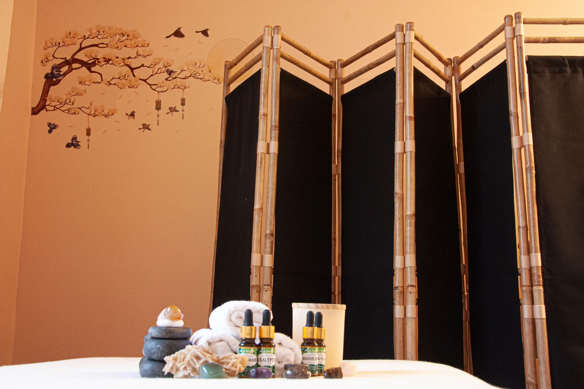 Masáž v délce 45-90 min: relaxační, sportovní, kameny - Obrázek 6