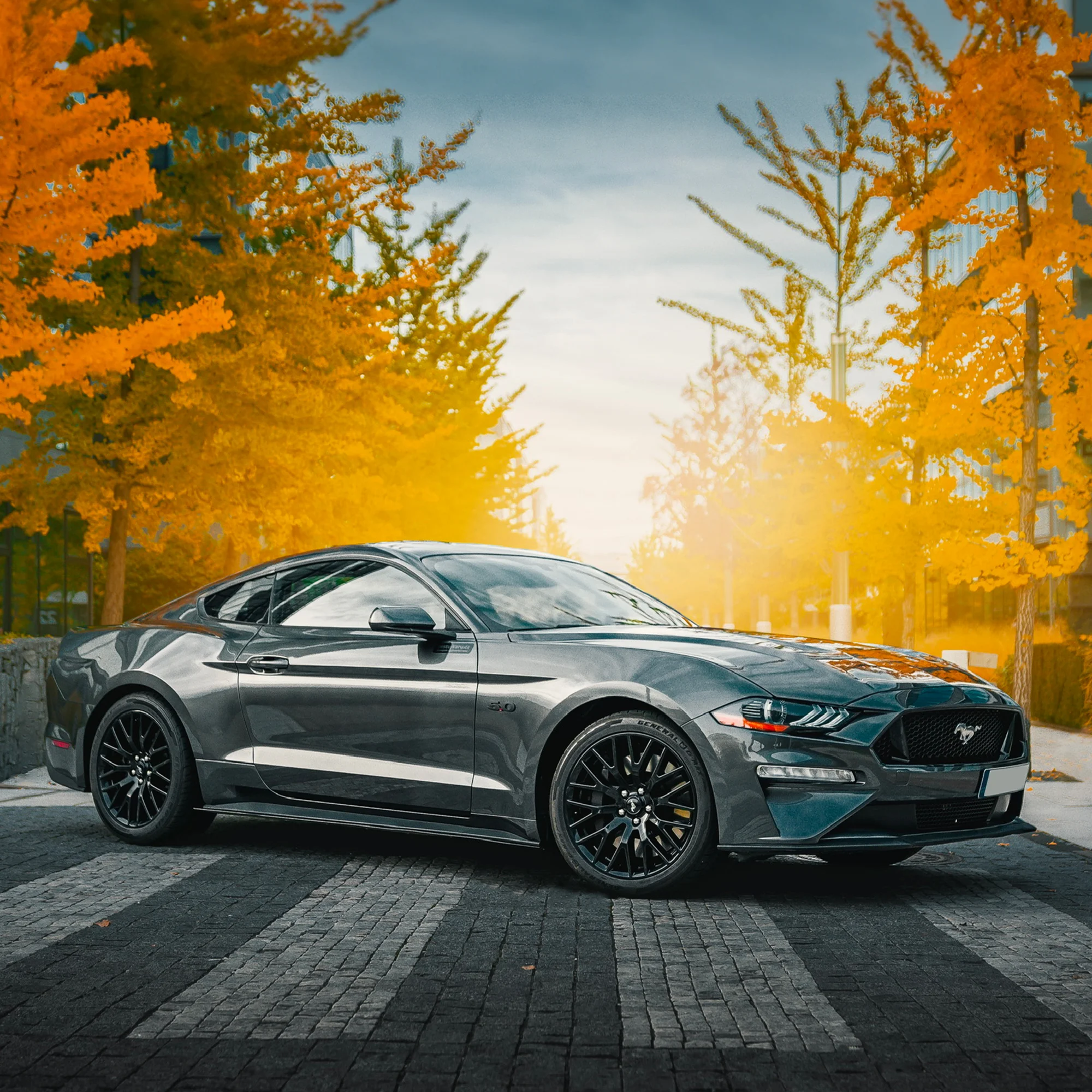 Pořádná jízda ve Fordu Mustang: 24 hod. i víkend - Obrázek 2