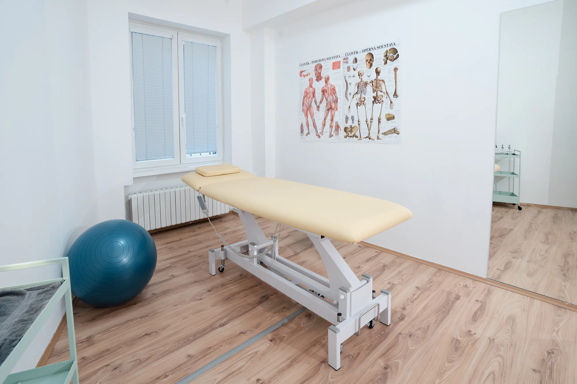 Ošetření rázovou vlnou nebo individuální fyzioterapie - Obrázek 3