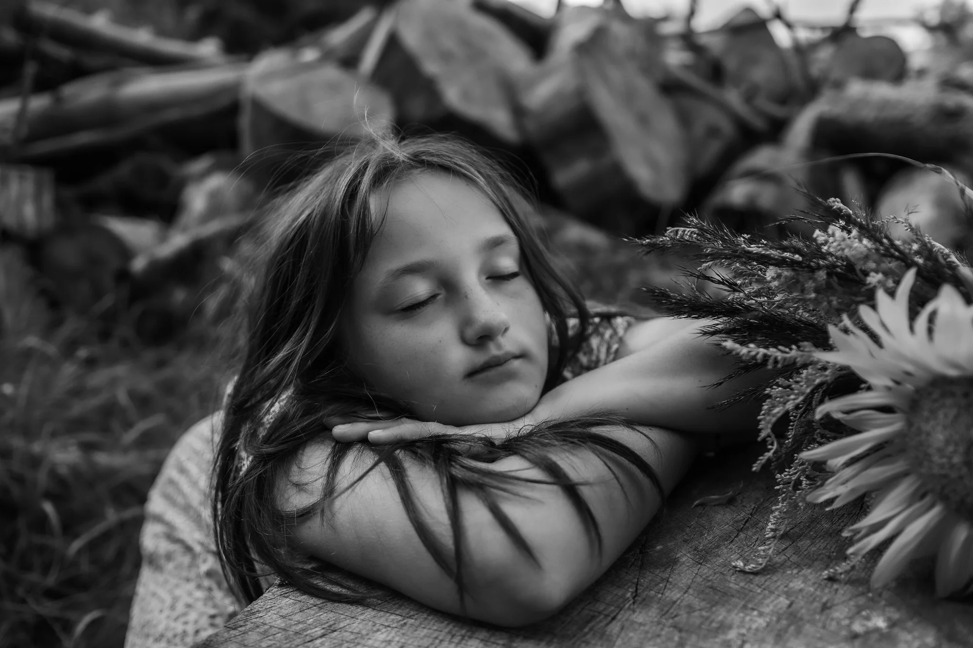 Profesionální exteriérové focení v Liberci a okolí - Obrázek 11