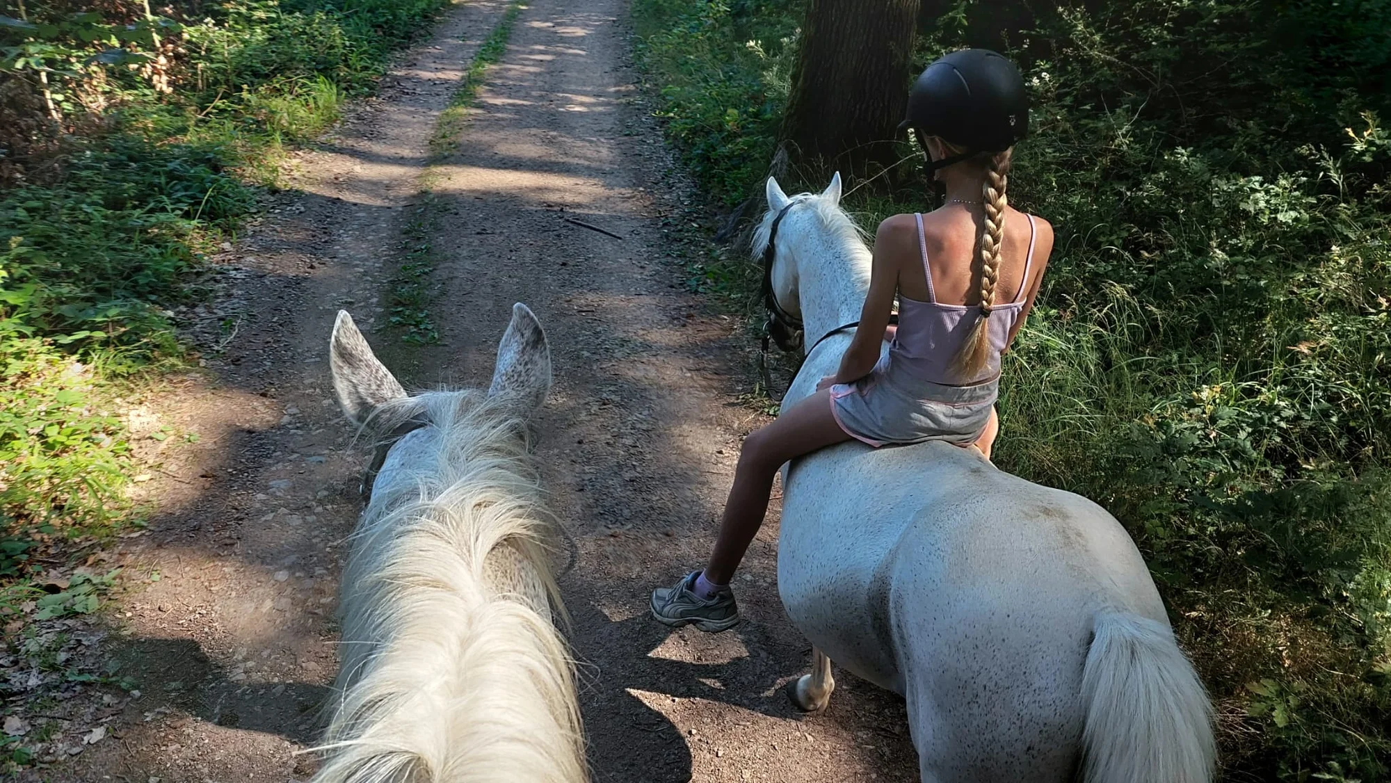 Jízda na koni pro dospělé či na poníkovi pro děti - Obrázek 3