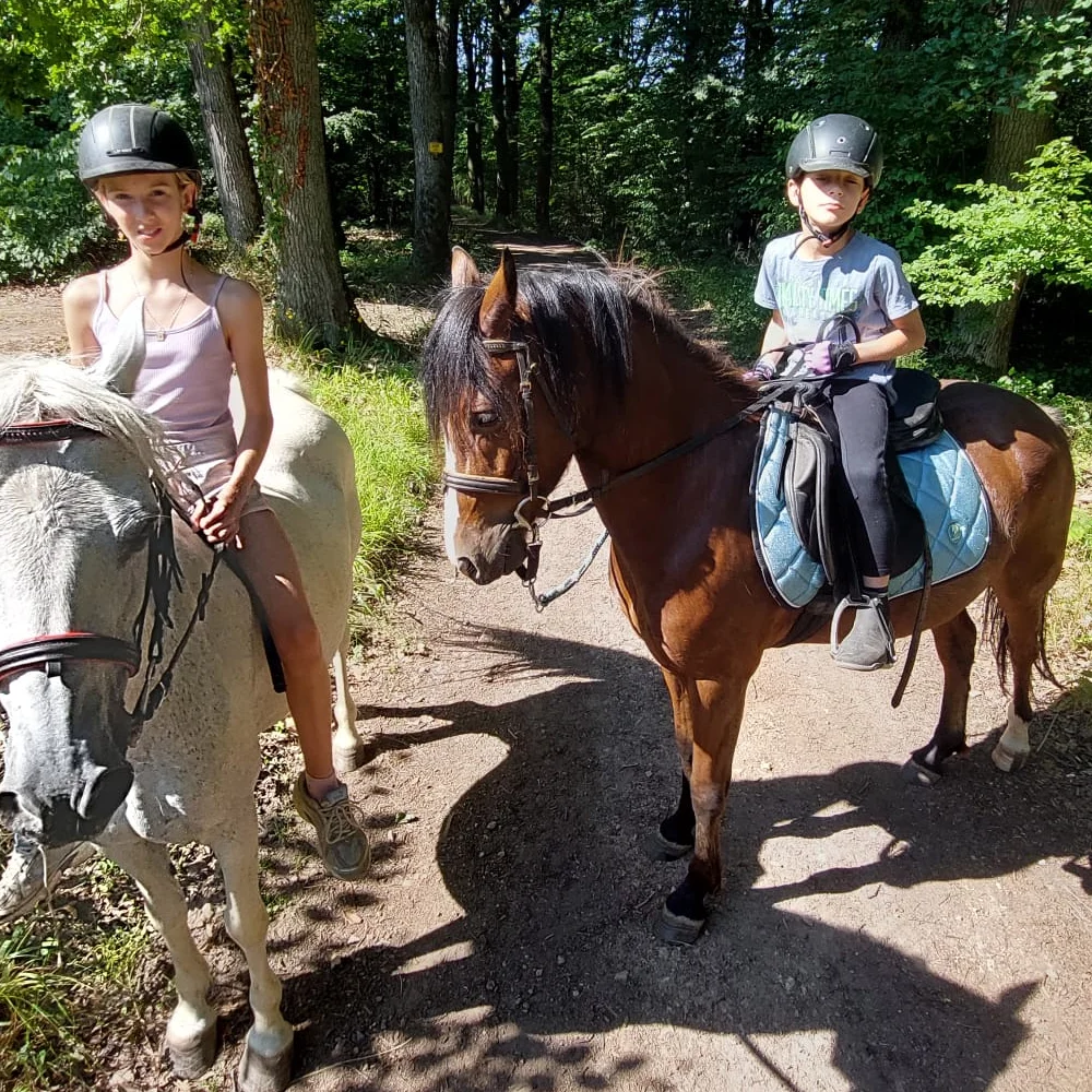 Jízda na koni pro dospělé či na poníkovi pro děti - Obrázek 2