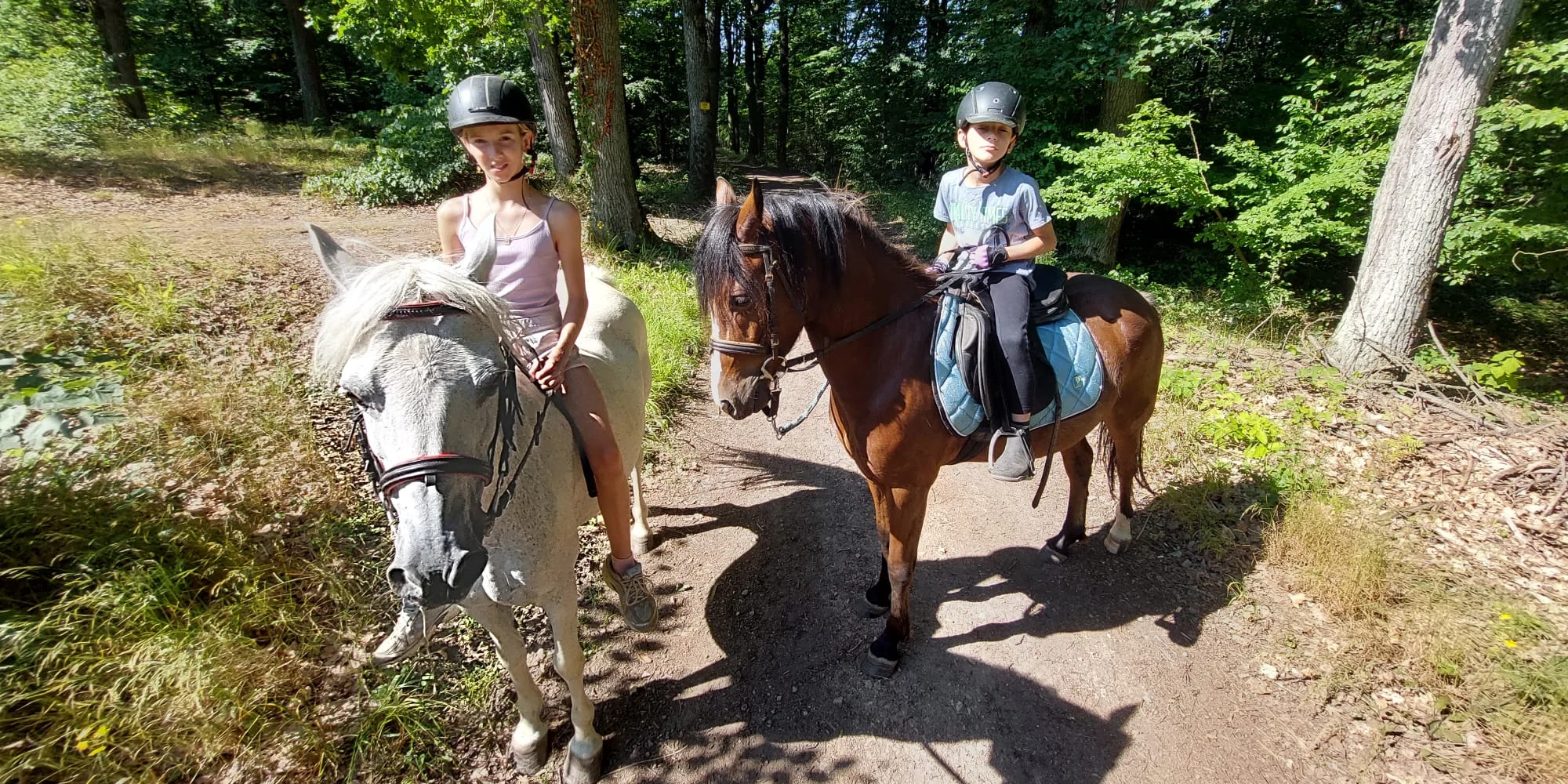 Jízda na koni pro dospělé či na poníkovi pro děti