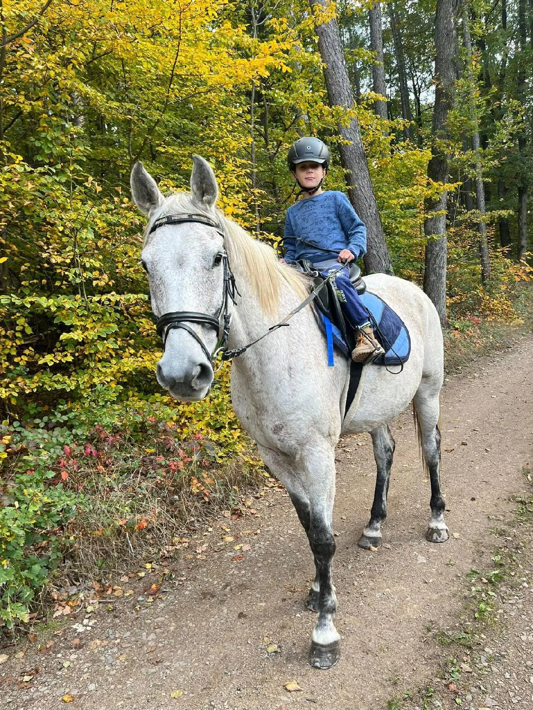 Jízda na koni pro dospělé či na poníkovi pro děti - Obrázek 6