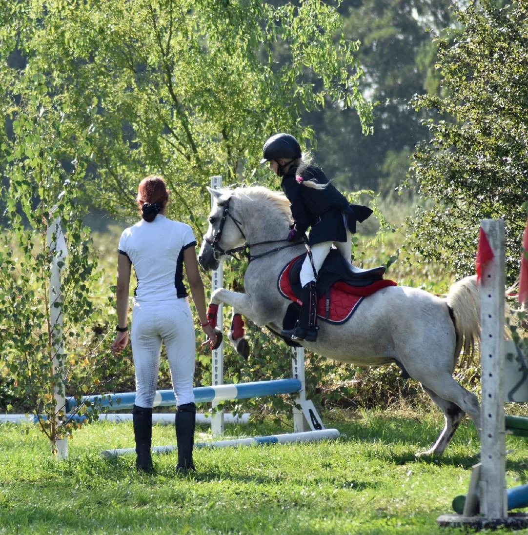 Jízda na koni pro dospělé či na poníkovi pro děti - Obrázek 7