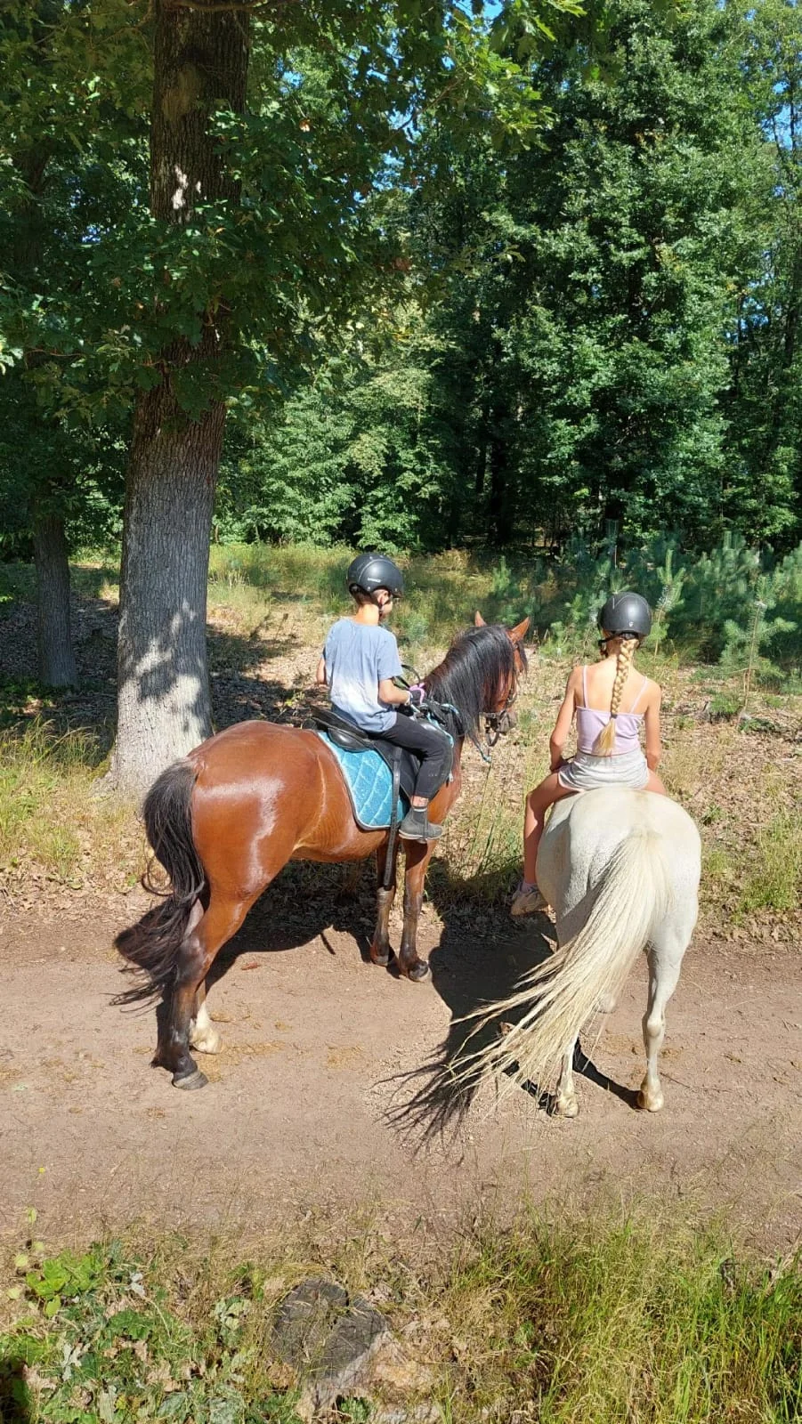 Jízda na koni pro dospělé či na poníkovi pro děti - Obrázek 8