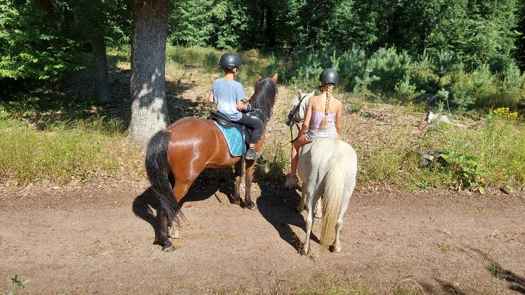 Jízda na koni pro dospělé či na poníkovi pro děti - Obrázek 9