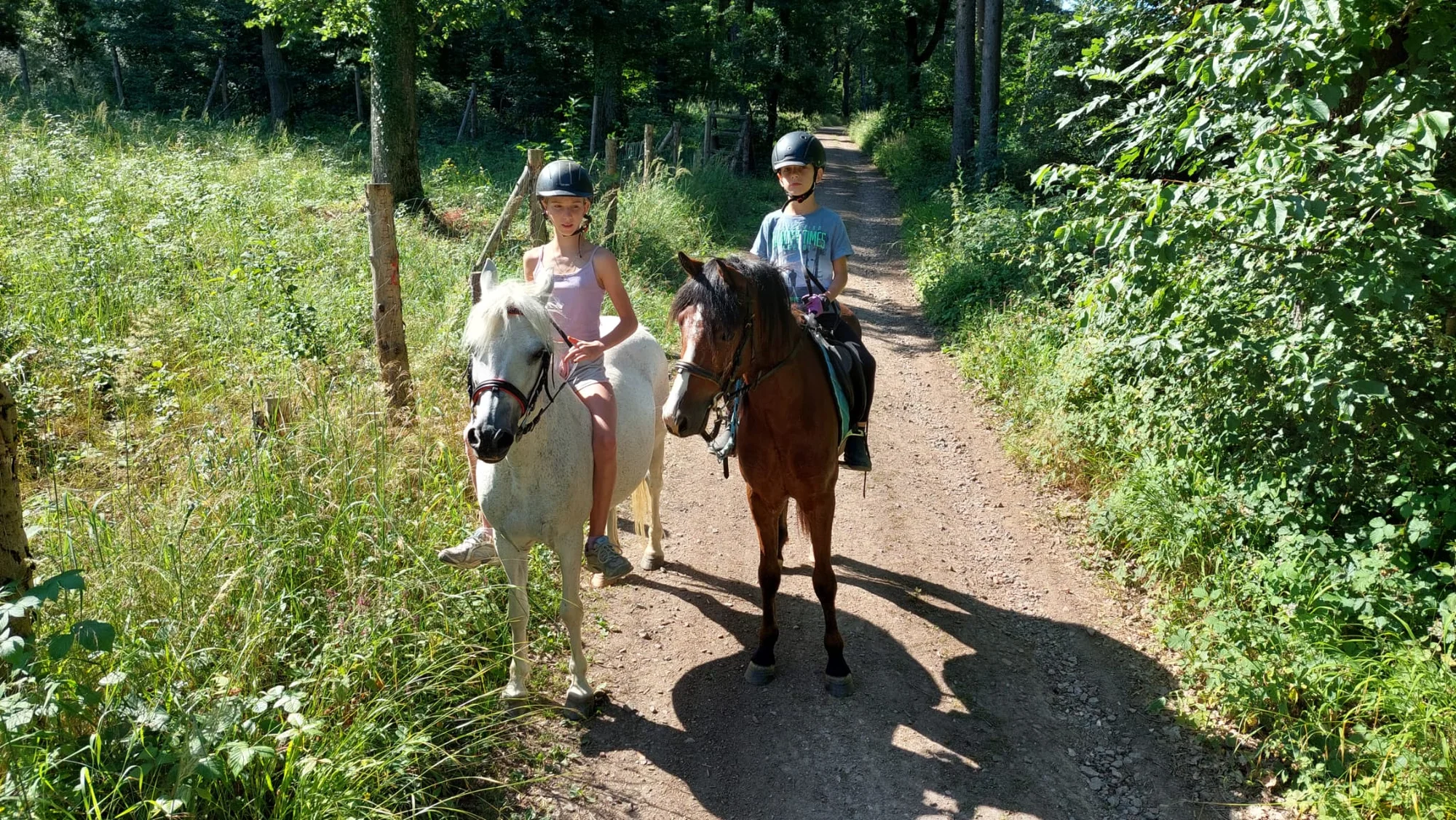 Jízda na koni pro dospělé či na poníkovi pro děti - Obrázek 4
