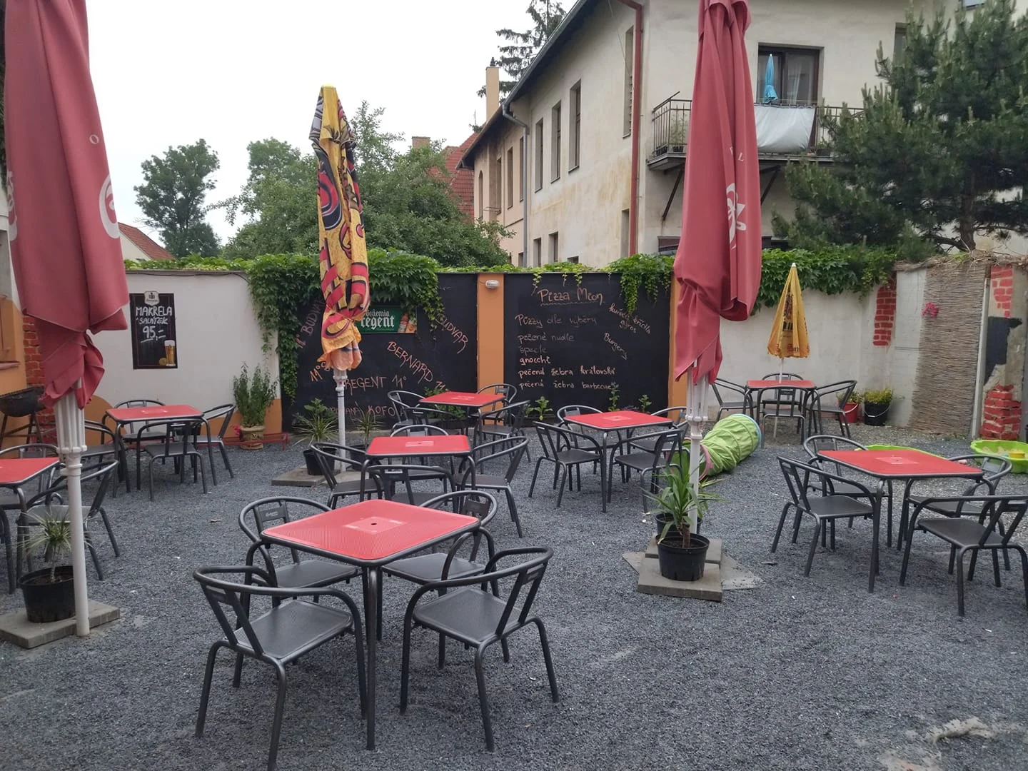 Marinovaná křidýlka nebo až kilová nálož žebírek - Obrázek 8