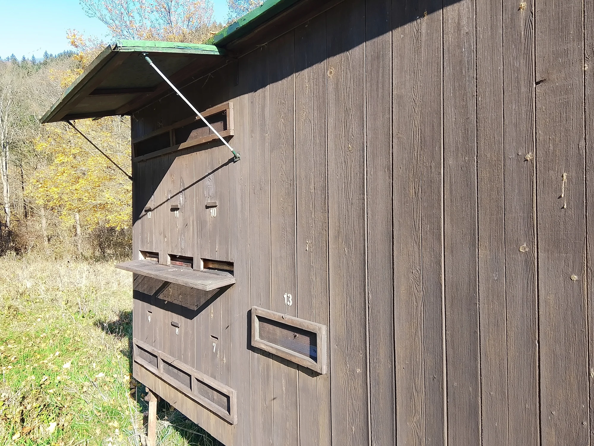 Celodenní včelařský kurz pro děti i dospělé - Obrázek 7
