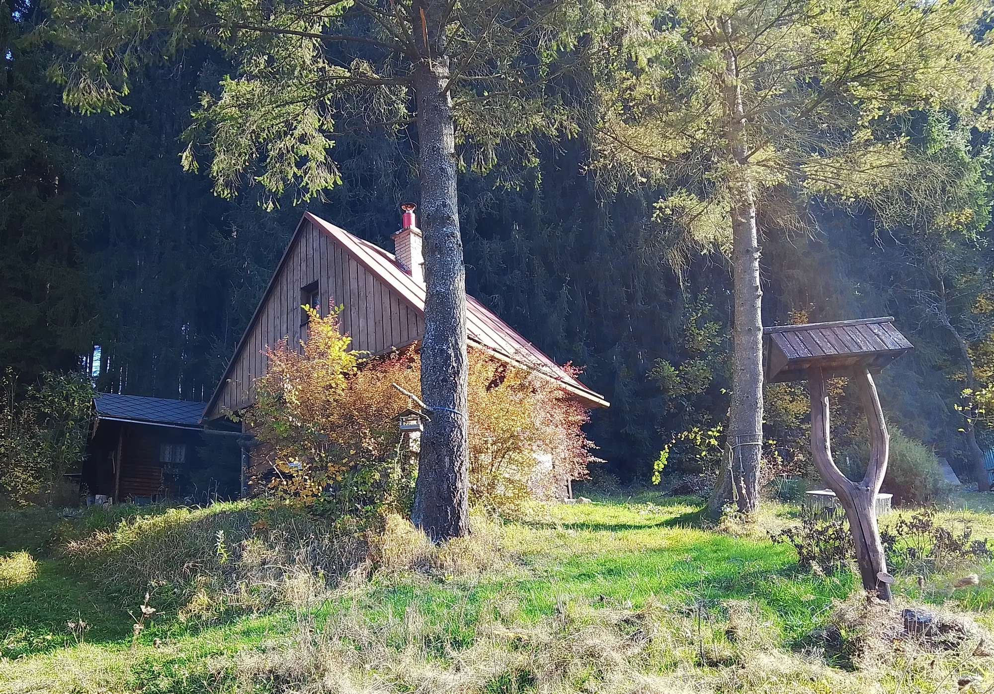 Celodenní včelařský kurz pro děti i dospělé - Obrázek 8