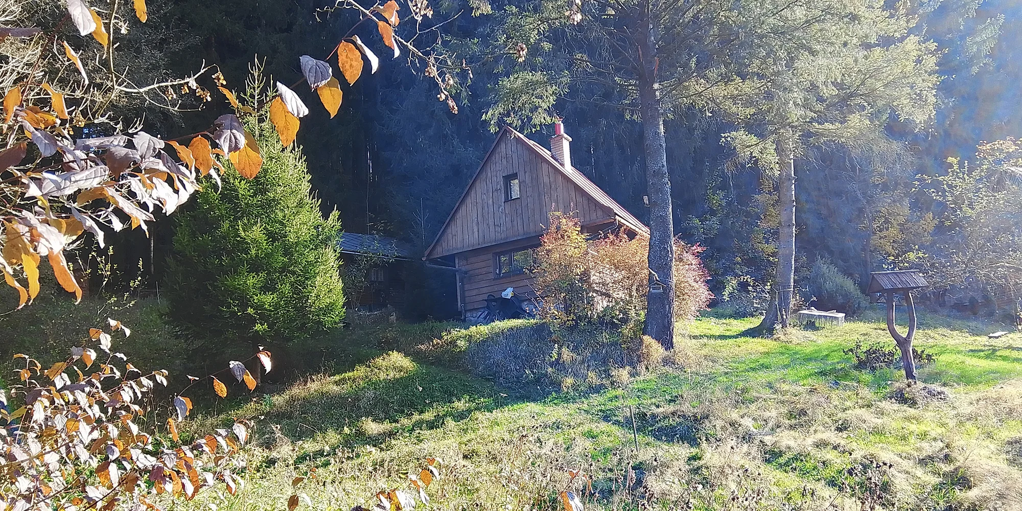 Celodenní včelařský kurz pro děti i dospělé - Obrázek 5