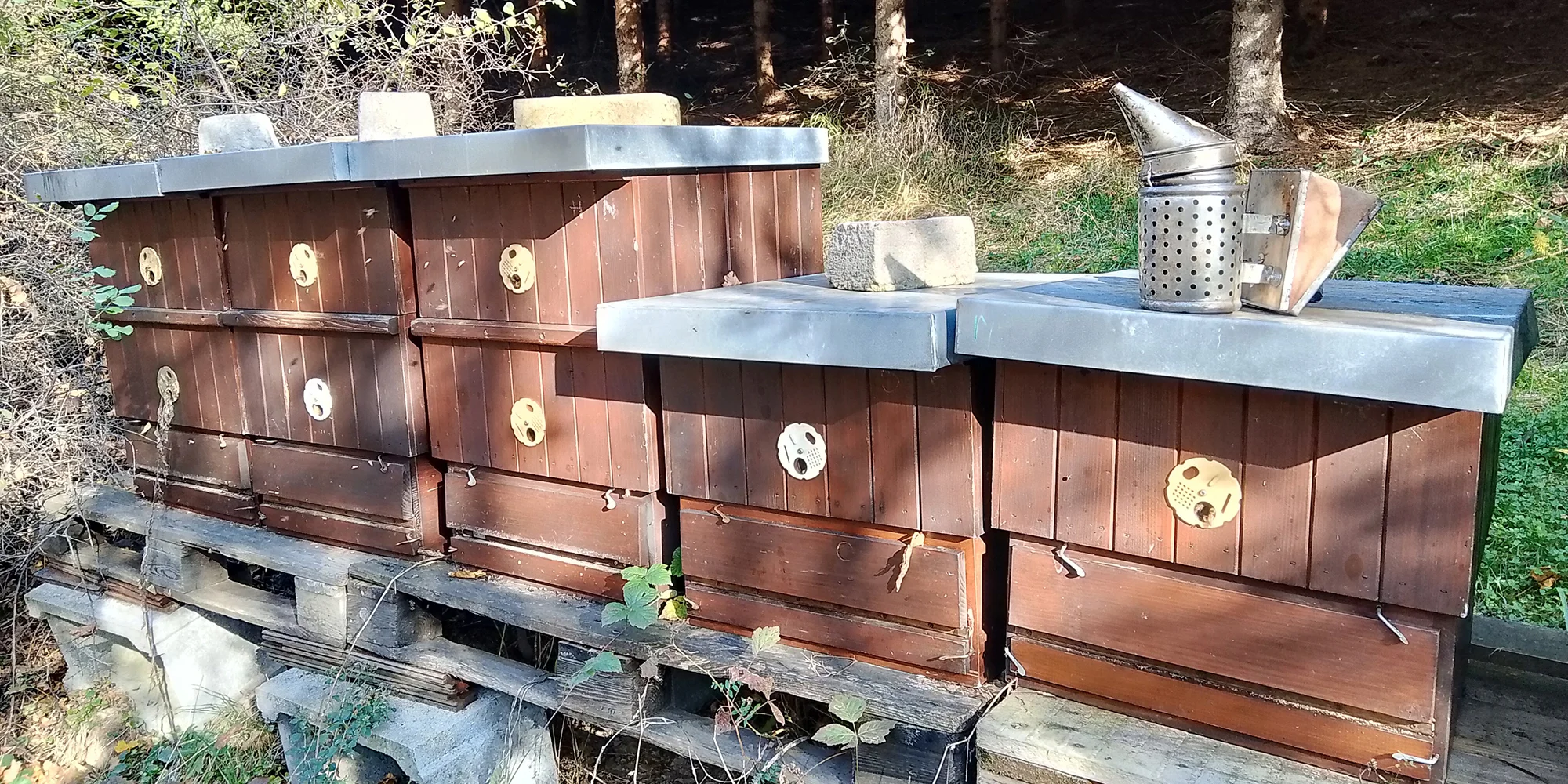 Celodenní včelařský kurz pro děti i dospělé - Obrázek 4