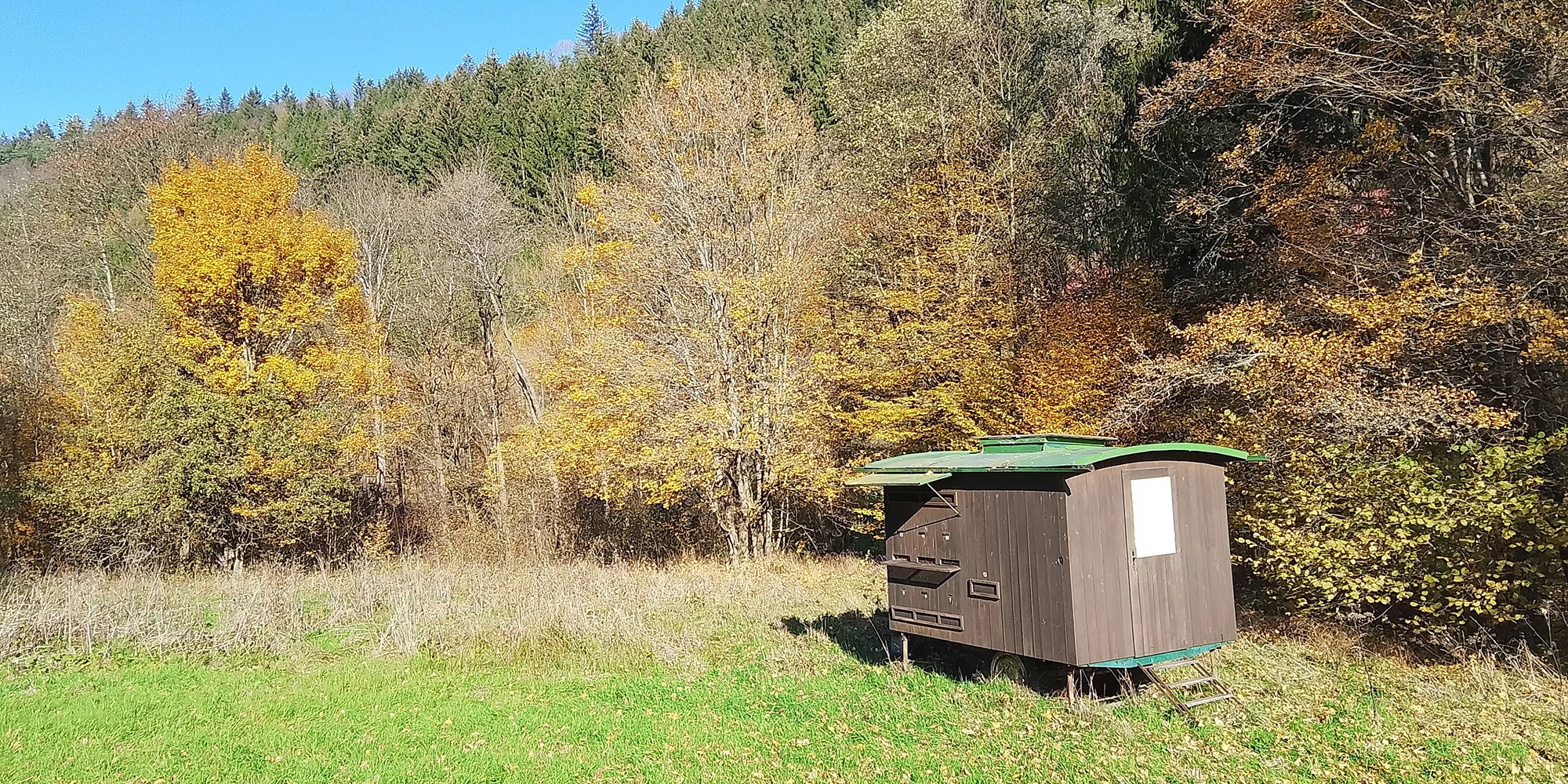 Celodenní včelařský kurz pro děti i dospělé - Obrázek 3