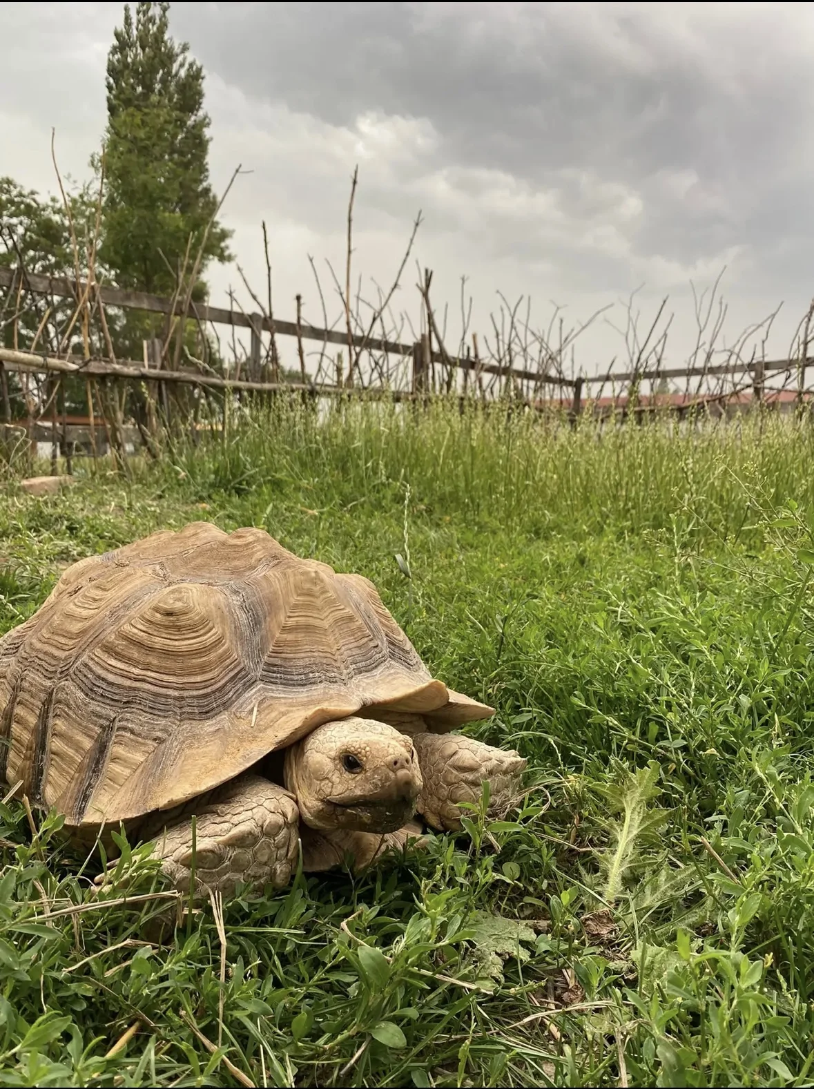 Prohlídka Pohádkové zahrady pro děti i dospělé - Obrázek 6