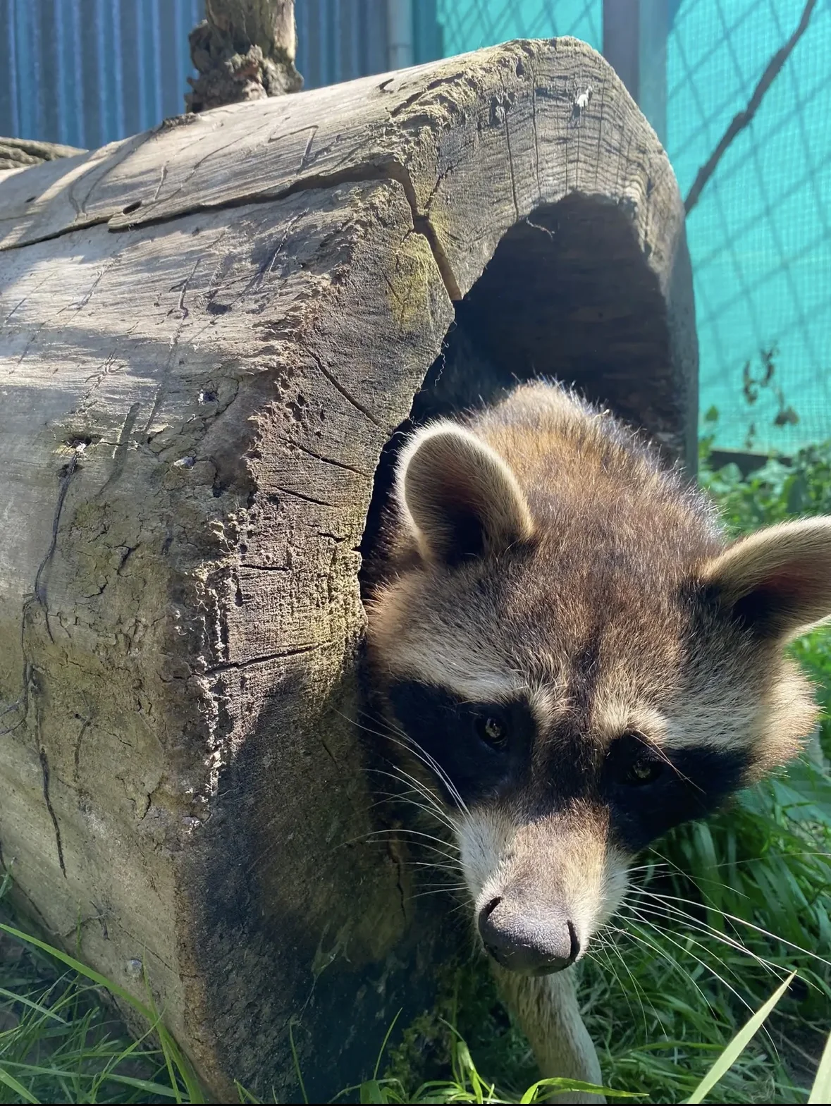 Prohlídka Pohádkové zahrady pro děti i dospělé - Obrázek 8