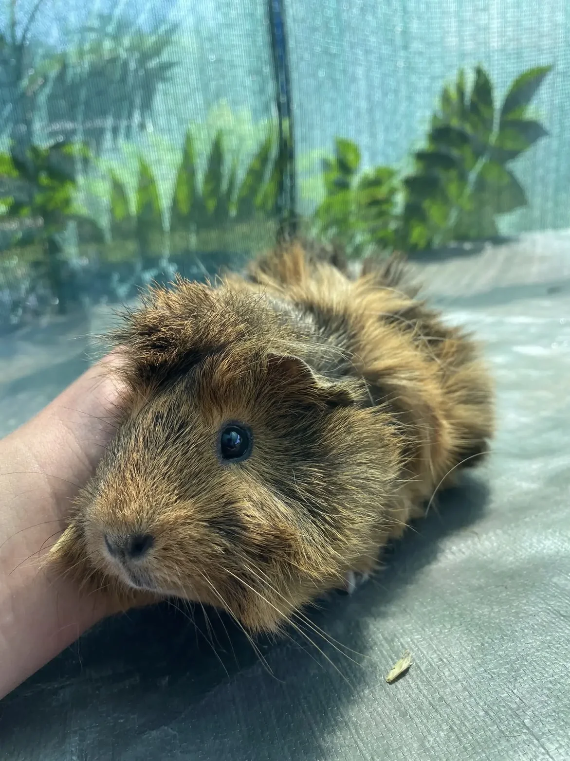 Prohlídka Pohádkové zahrady pro děti i dospělé - Obrázek 9