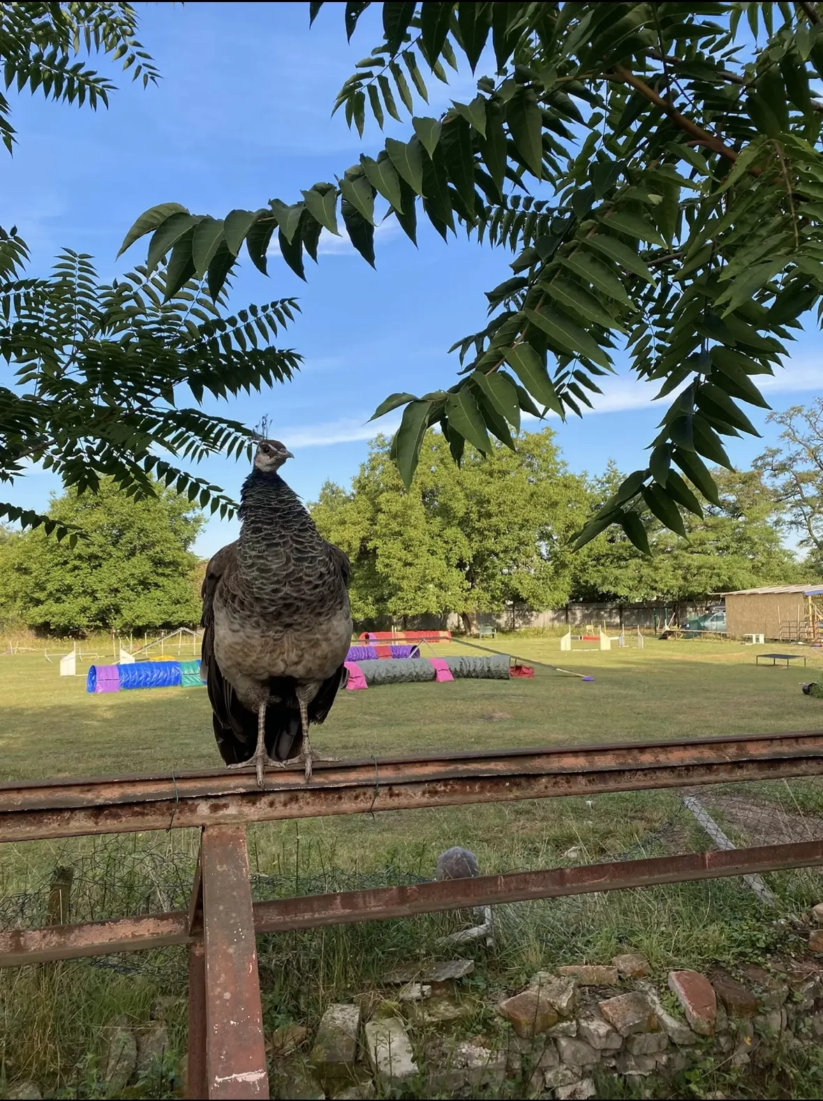Prohlídka Pohádkové zahrady pro děti i dospělé - Obrázek 10