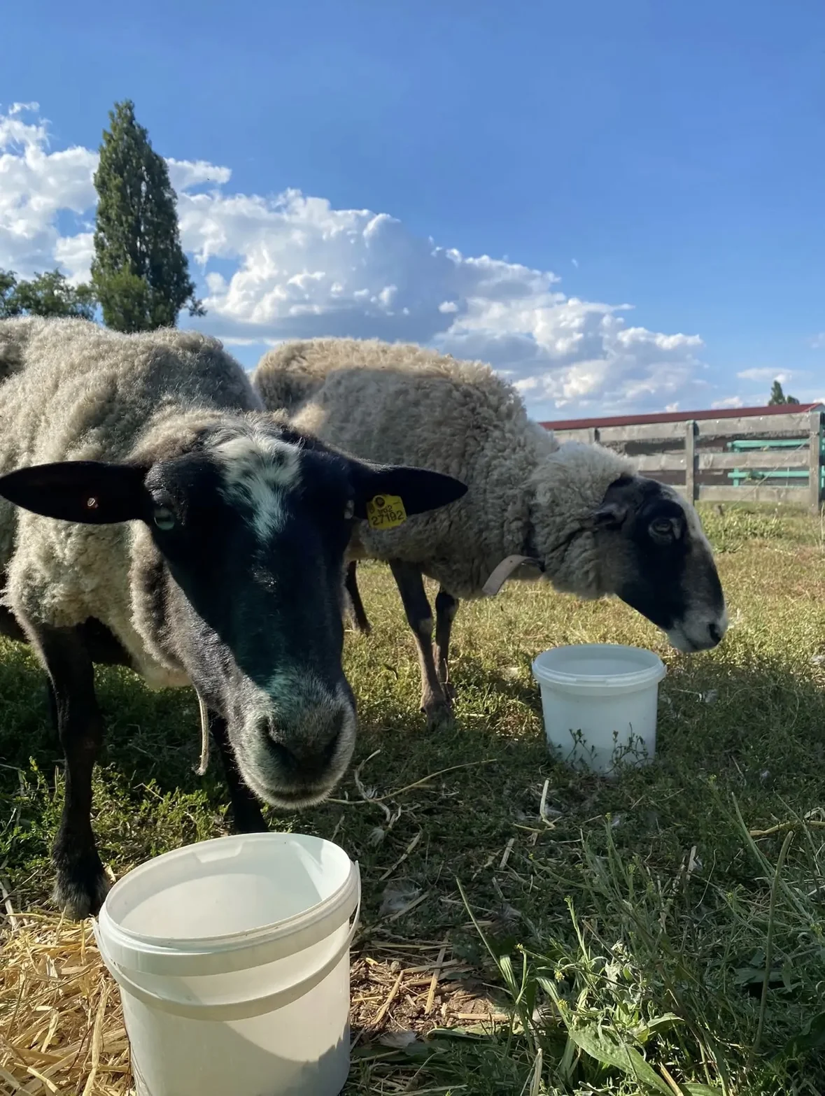 Prohlídka Pohádkové zahrady pro děti i dospělé - Obrázek 11