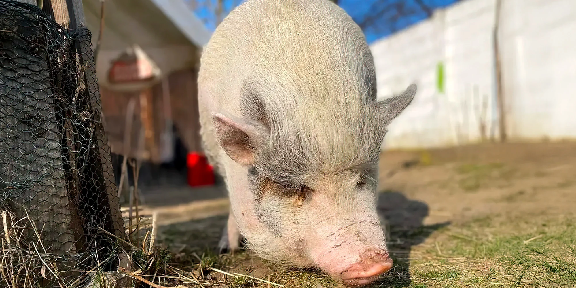 Prohlídka Pohádkové zahrady pro děti i dospělé - Obrázek 3