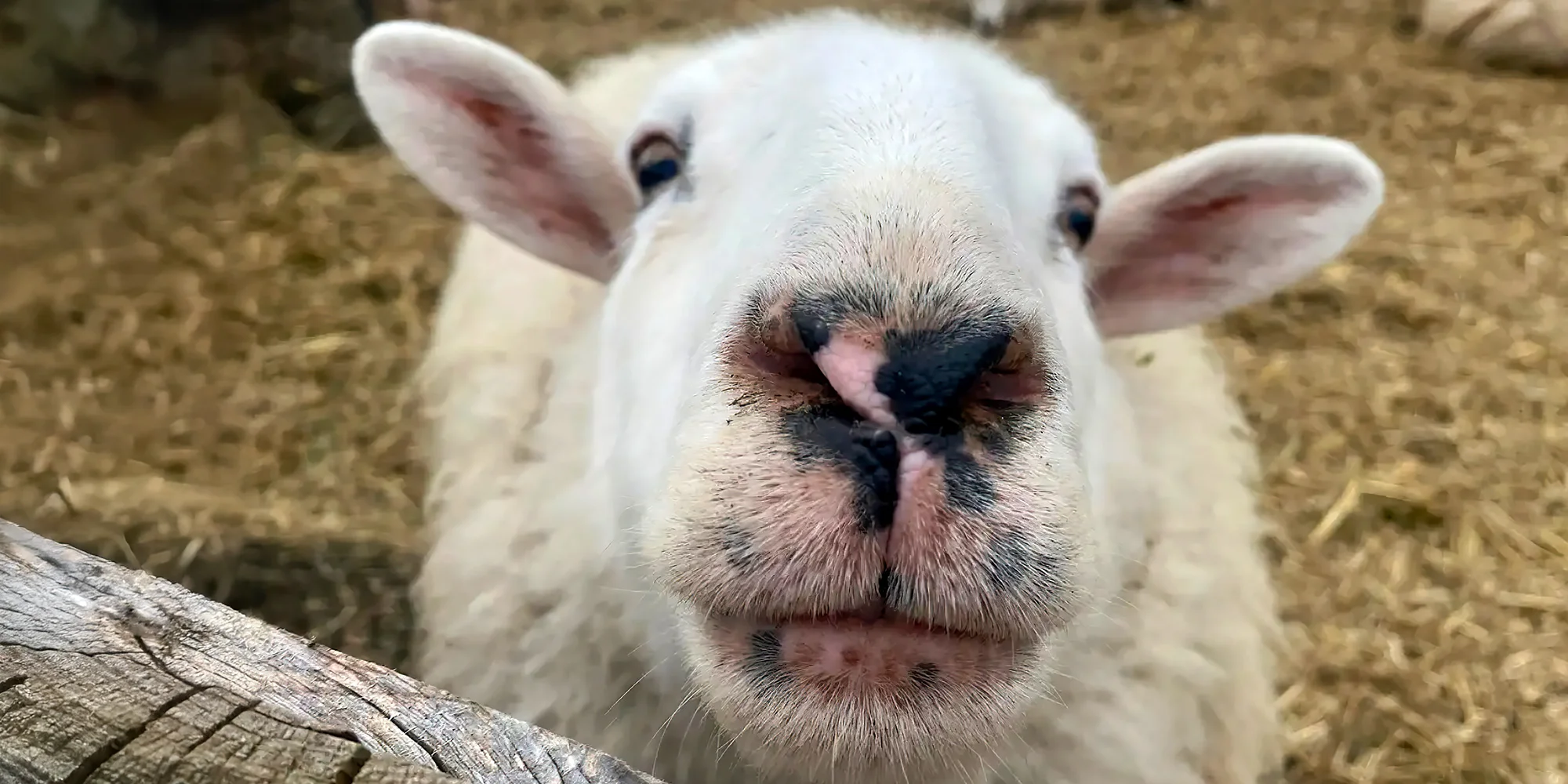 Prohlídka Pohádkové zahrady pro děti i dospělé - Obrázek 5